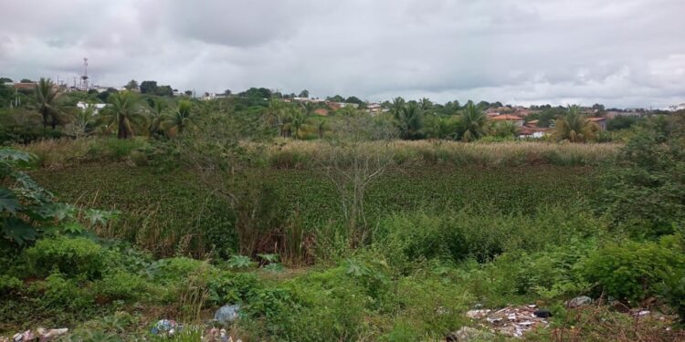 Secretaria de Meio Ambiente intensifica visitas para avaliar situação das lagoas de Feira