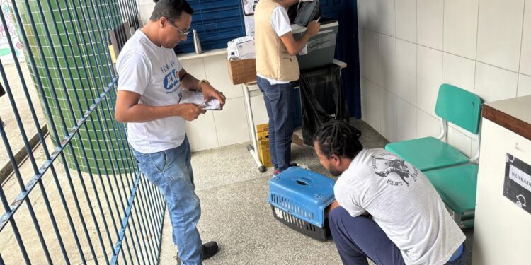 Neste sábado (23) tem vacinação de cães e gatos contra a raiva