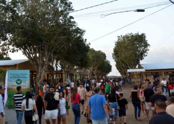 Prefeitura garante transporte gratuito para a 46ª Expofeira durante a semana