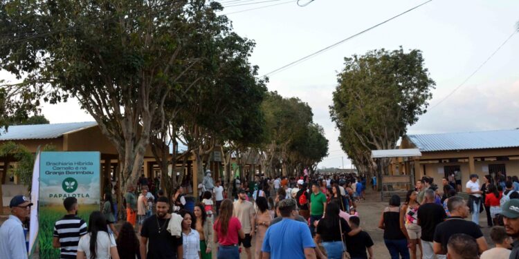 Prefeitura garante transporte gratuito para a 46ª Expofeira durante a semana