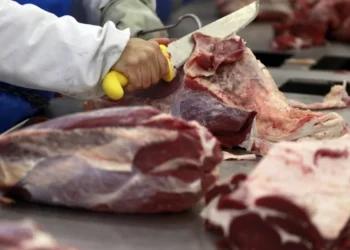 Vigilância Sanitária realiza encontro com açougueiros e donos de mercadinhos