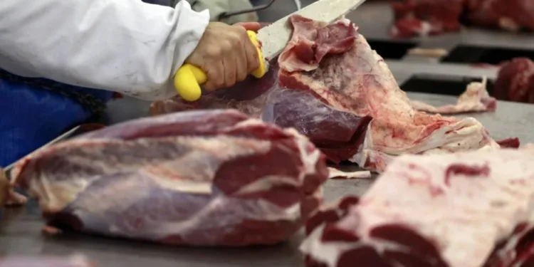 Vigilância Sanitária realiza encontro com açougueiros e donos de mercadinhos