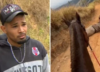 ‘Não sou um monstro’, diz jovem que confessou decepar patas de cavalo