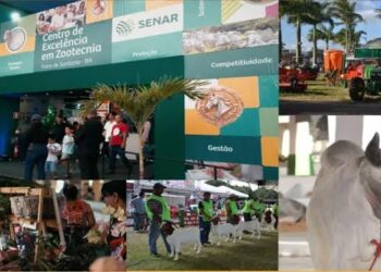 Mais de 60 câmeras serão os olhos eletrônicos de segurança na Expofeira