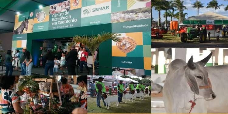 Mais de 60 câmeras serão os olhos eletrônicos de segurança na Expofeira
