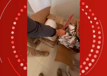 Polícia apreende 220 kg de cocaína após denúncia anônima em Feira de Santana; suspeito é preso em flagrante