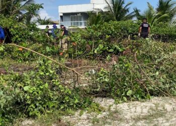 Polícia Técnica vasculha área de mata onde corpos de mulheres foram encontrados na Bahia em busca de arma do crime
