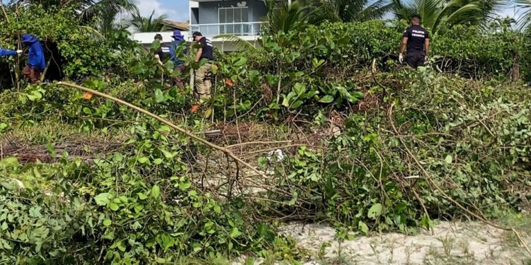 Polícia Técnica vasculha área de mata onde corpos de mulheres foram encontrados na Bahia em busca de arma do crime