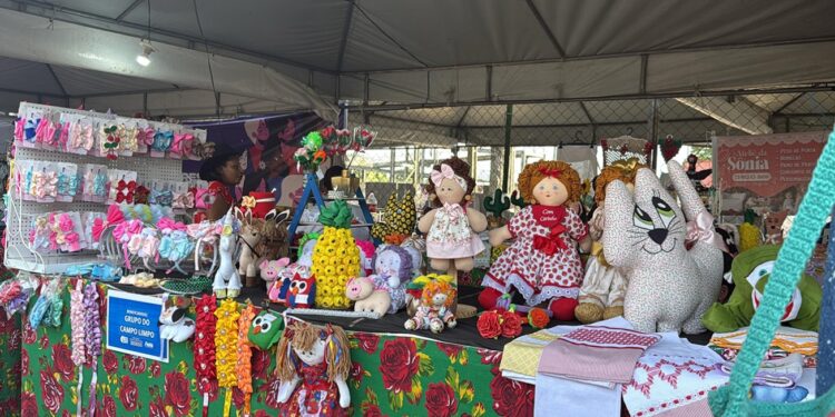 Inclusão na Expofeira: Sedeso promove artesanato e alimentos como instrumentos de transformação social
