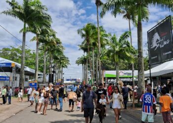 Expofeira 2025: Parque de Exposição recebeu um dos maiores públicos da sua história