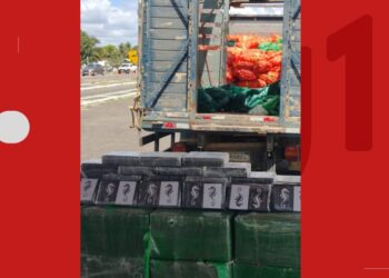 Motorista é preso suspeito de transportar quase meia tonelada de cocaína em caminhão carregado de cebolas no interior da Bahia