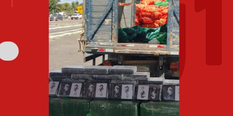 Motorista é preso suspeito de transportar quase meia tonelada de cocaína em caminhão carregado de cebolas no interior da Bahia