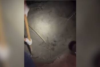 Desaparecidos no PR: corpos foram encontrados com marcas de tiro e em vala