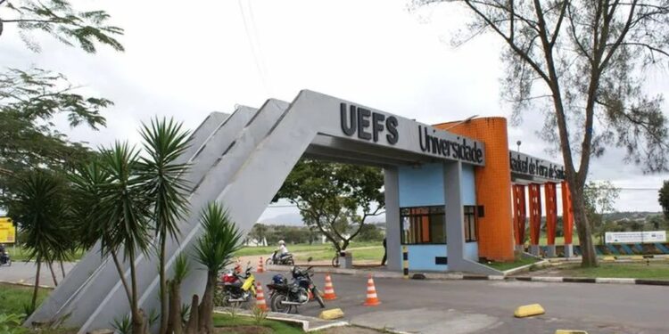Uefs anuncia concurso público para professor com salários de R$4 mil; saiba como se inscrever