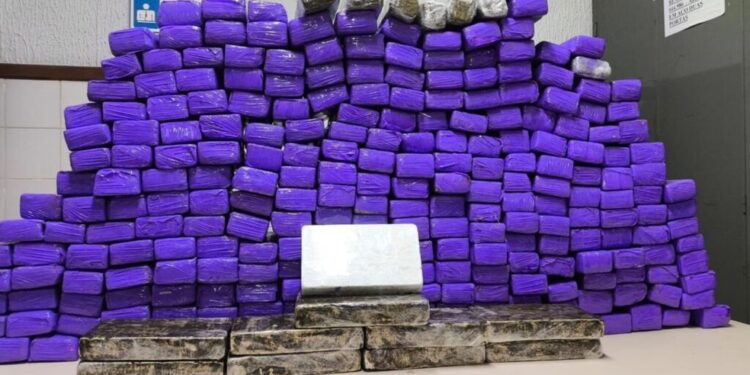 Homem é preso com quase 300 tabletes de drogas em van de turismo na Bahia