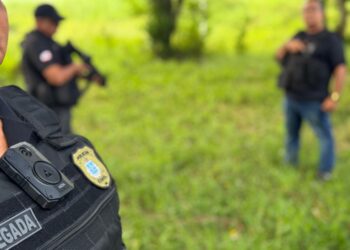 Homem de 28 anos investigado por furto e abate de gado é preso no Recôncavo da Bahia