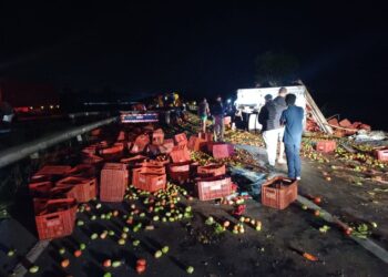 Três pessoas morrem e uma fica em estado grave após batida entre caminhões e carro na Bahia