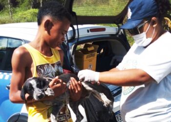 Campanha Antirrábica 2025 imuniza mais de 31 mil animais em Feira de Santana