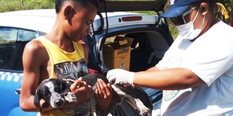 Campanha Antirrábica 2025 imuniza mais de 31 mil animais em Feira de Santana