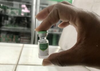 Saúde intensifica vacinação contra HPV em jovens entre 9 e 19 anos