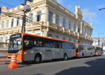 Brinca Feira: Prefeitura oferece ônibus gratuito para o Parque da Cidade neste domingo (12)