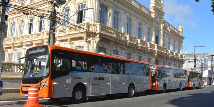 Brinca Feira: Prefeitura oferece ônibus gratuito para o Parque da Cidade neste domingo (12)