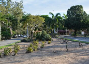 Parque da Cidade pronto para receber milhares de pessoas para o Brinca Feira, no Dia das Crianças