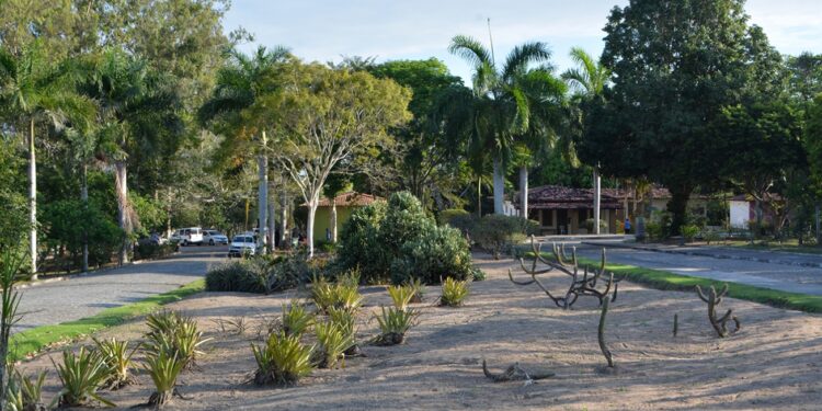 Parque da Cidade pronto para receber milhares de pessoas para o Brinca Feira, no Dia das Crianças
