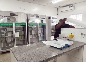 Rede de Frio abastece as unidades de saúde para o Dia D de Multivacinação