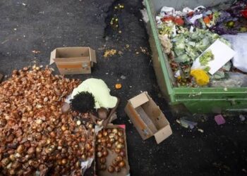 IBGE: Fome atinge 6,48 milhões de pessoas no Brasil, menor nível em 20 anos