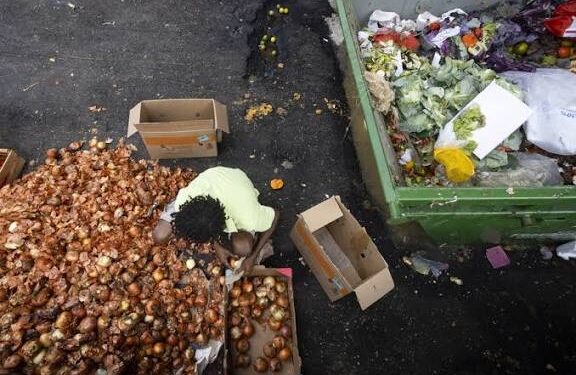 IBGE: Fome atinge 6,48 milhões de pessoas no Brasil, menor nível em 20 anos