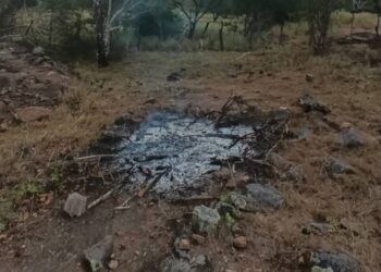 Dupla é presa suspeita de participação no desaparecimento de três amigas na Bahia