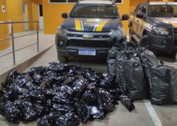 Mais de 100 quilos de maconha são apreendidos em caminhonete na Bahia
