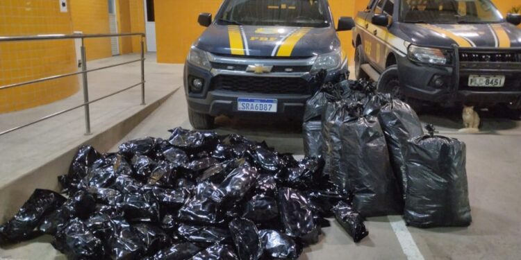 Mais de 100 quilos de maconha são apreendidos em caminhonete na Bahia