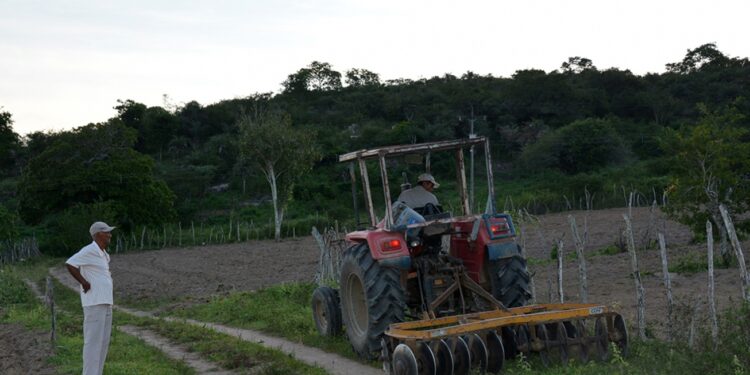 Segri realiza chamamento público visando contratar tratores para safra de meio de ano