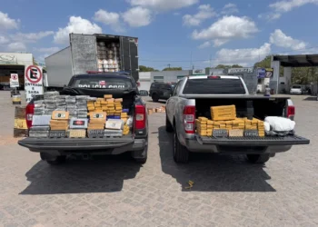 Operação conjunta resulta na apreensão de mais de 200 kg de drogas em Santo Estêvão