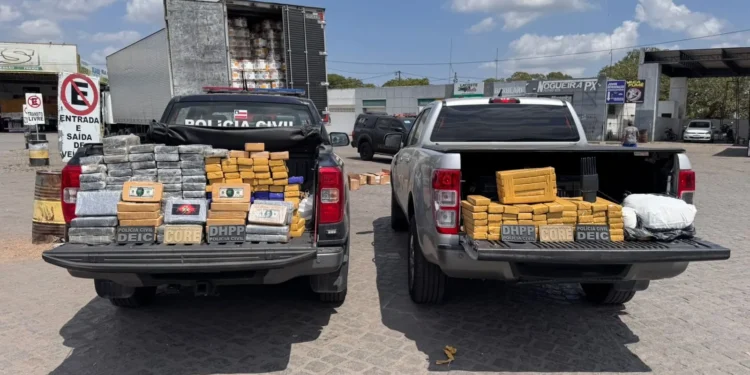 Operação conjunta resulta na apreensão de mais de 200 kg de drogas em Santo Estêvão