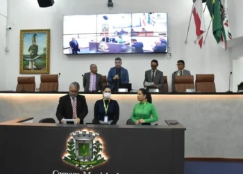 Câmara promulga lei que corrige defasagem salarial de servidores efetivos