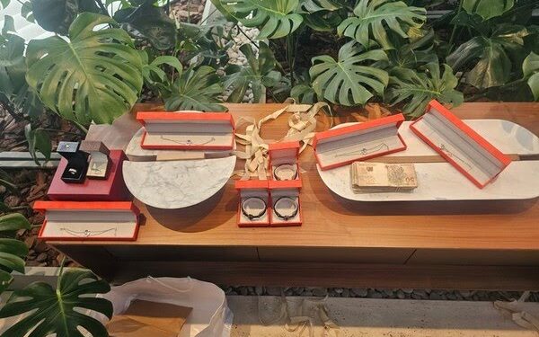 Banco Master: Diretor da PF diz que fraudes financeiras podem chegar a R$ 12 bilhões