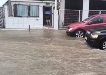 Alagamentos, deslizamento e queda de árvore: chuva em 1h atinge 75% do previsto para o mês em Salvador
