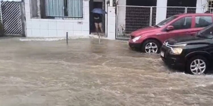 Alagamentos, deslizamento e queda de árvore: chuva em 1h atinge 75% do previsto para o mês em Salvador