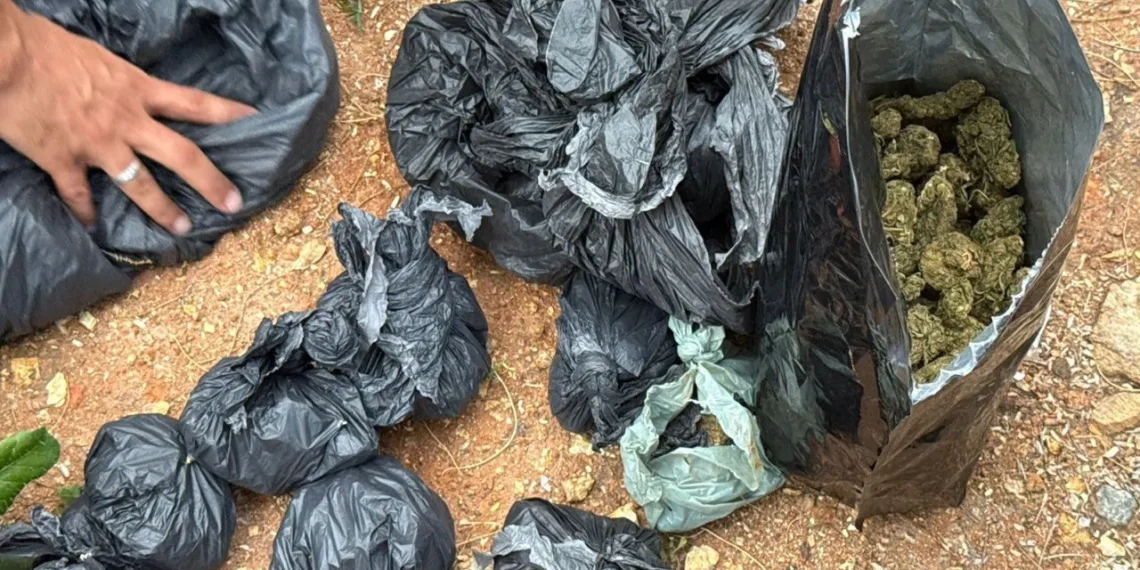 Operação reforça combate ao tráfico de drogas em Feira de Santana e Jequié