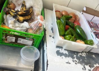 Vigilância Sanitária interdita estabelecimento do ramo alimentício por irregularidades sanitárias