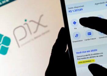 Pix bate recorde e supera 297 milhões de transações em dia de Black Friday e 13º salário