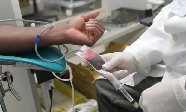 Hemoba alerta para queda nas doações de sangue durante festas de fim de ano e reforça chamado à população