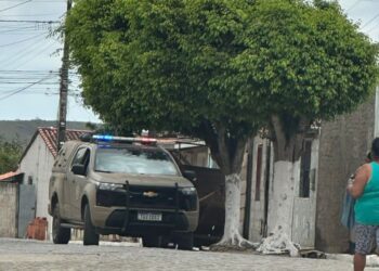 Crânio é encontrado no interior da Bahia e polícia investiga ligação com furto em cemitério