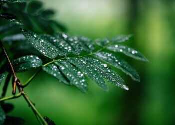 Última semana de 2025 terá temporais no Sul e avanço da chuva pelo Brasil