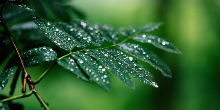 Última semana de 2025 terá temporais no Sul e avanço da chuva pelo Brasil