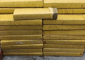 PM apreende grande quantidade de entorpecentes após denúncia em condomínio residencial