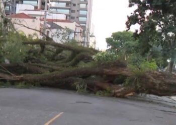 Enel SP tem mais de 1 mil ocorrências com interrupção de energia elétrica por dia